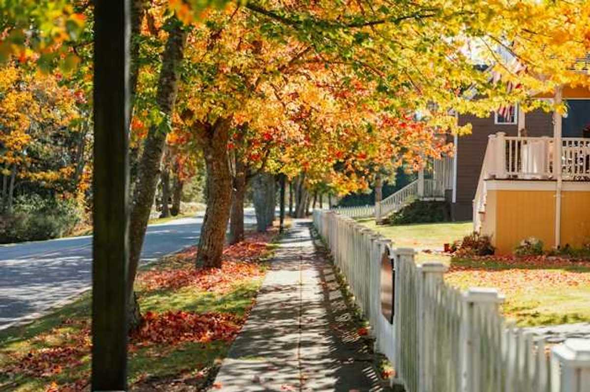 A view of a sidewalk in a neighborhood with trees lining the street