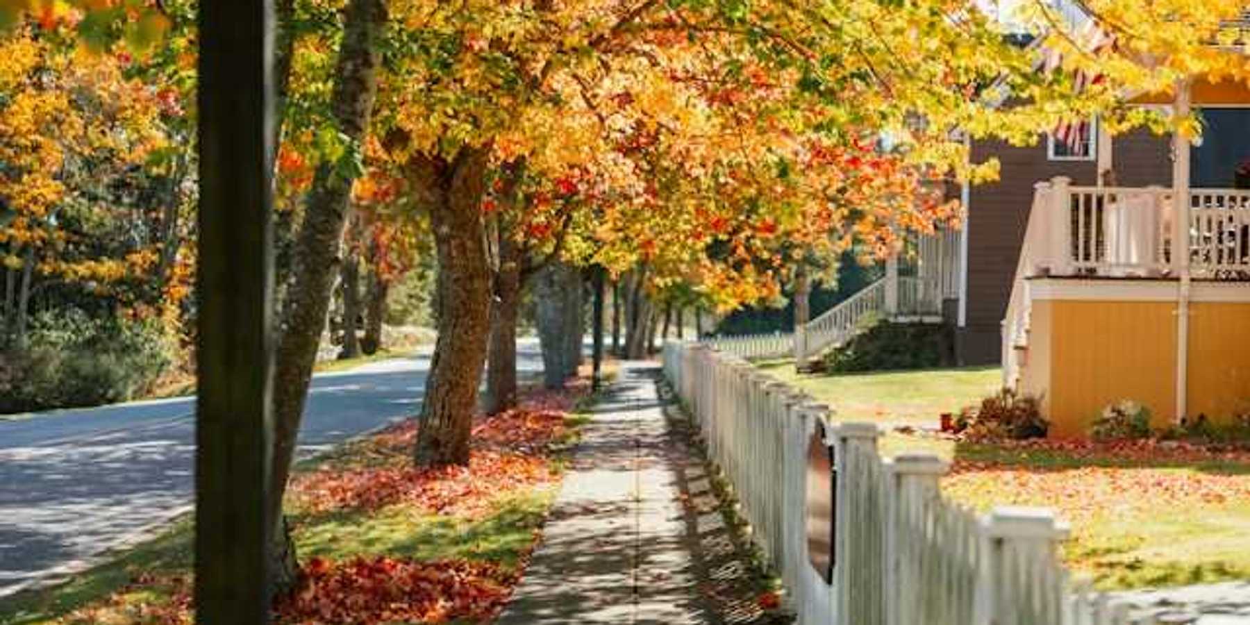 A view of a sidewalk in a neighborhood with trees lining the street