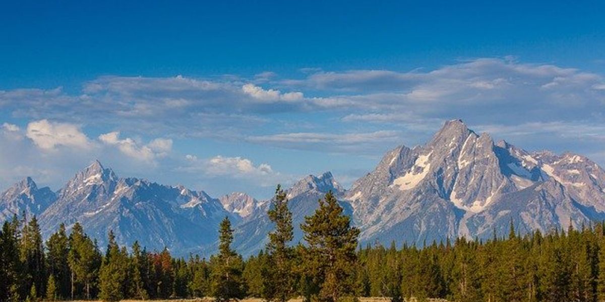 A view of a snow-dotted mountain range with a forest in the foreground.