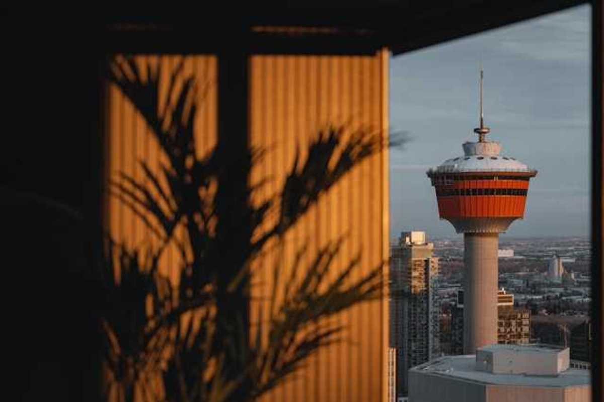 A view of a tower in a city