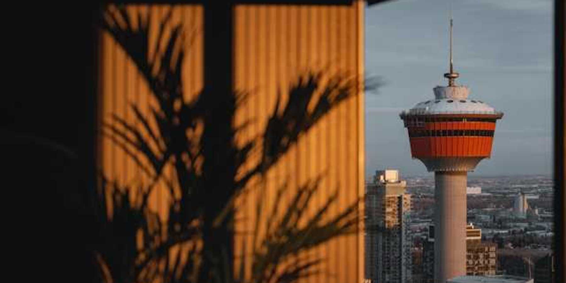 A view of a tower in a city