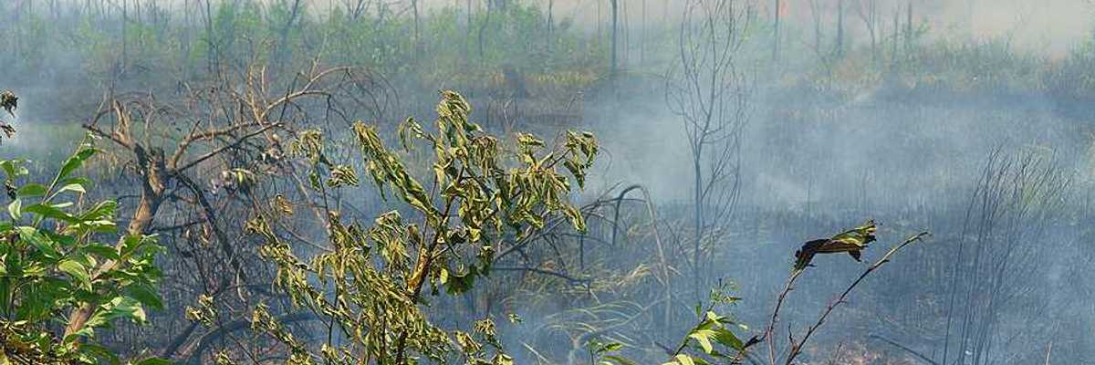 A view of a tropical field that is burning