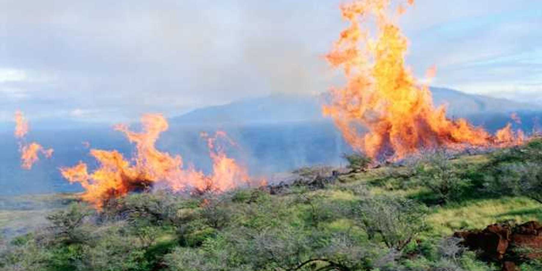 A view of a wildfire spreading across a green landscape