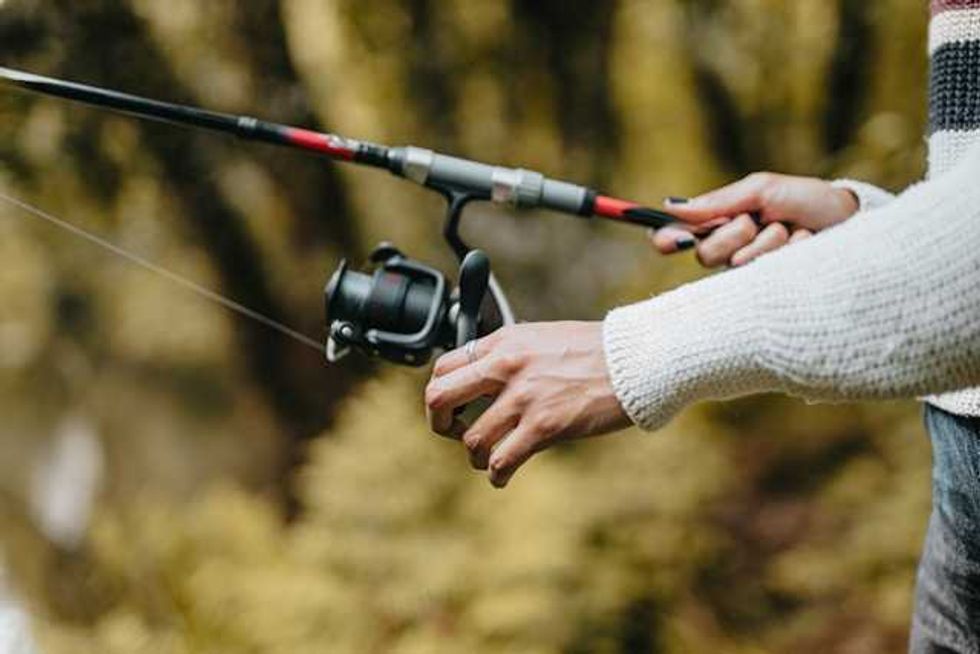 As summer fishing heats up, so do worries about fish health