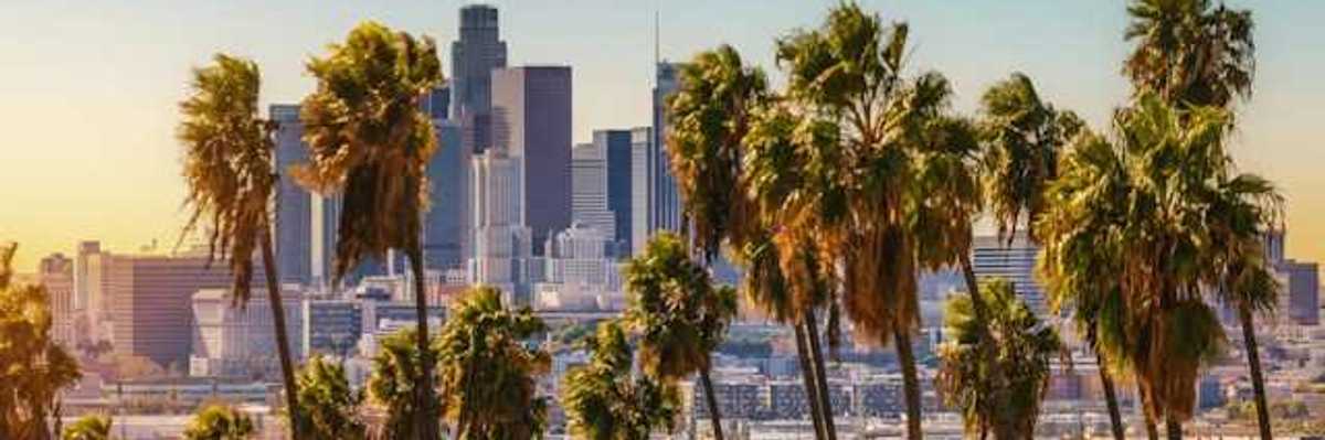 A view of downtown Los Angeles, California with palm trees in the forefront