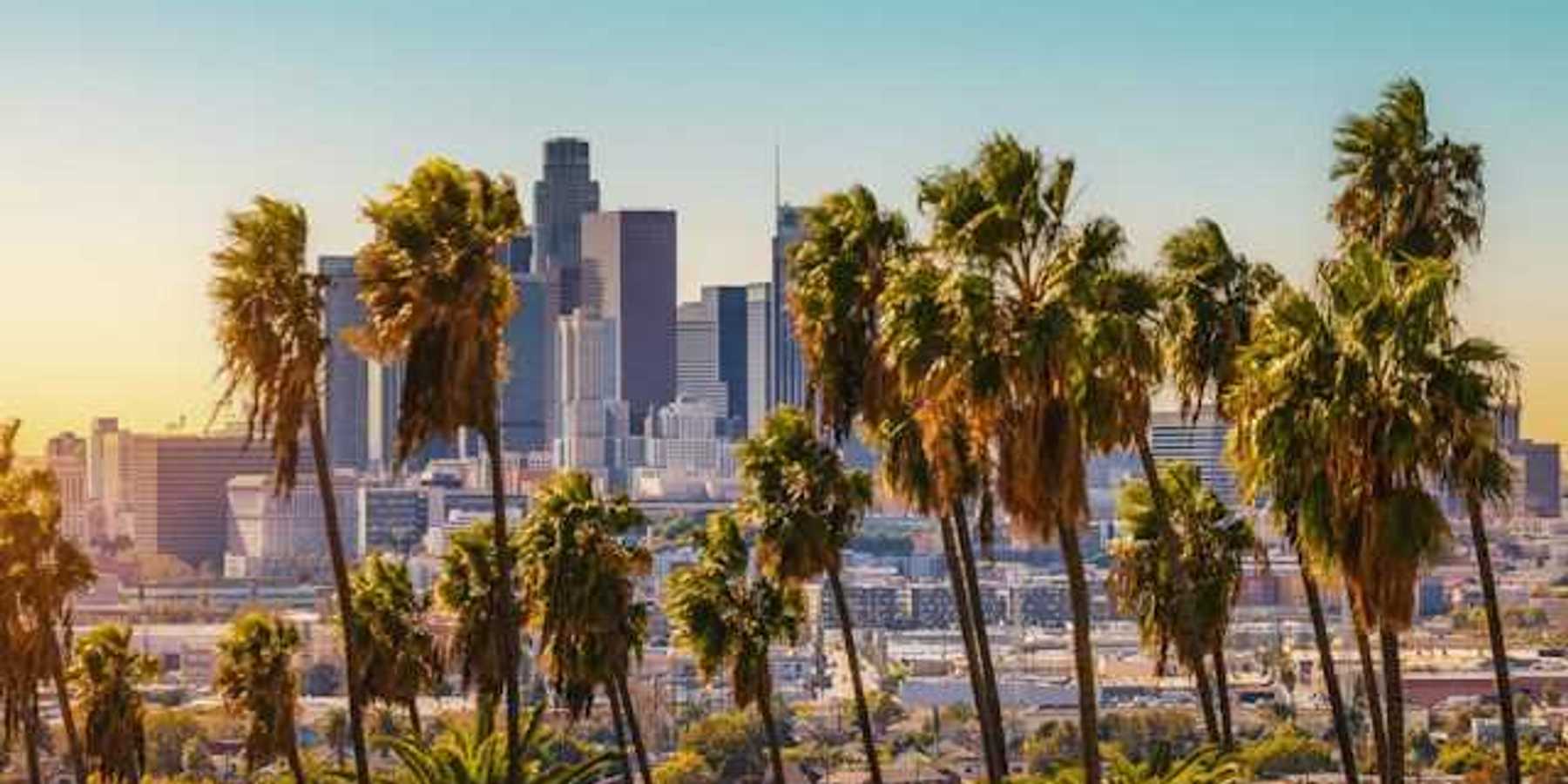 A view of downtown Los Angeles, California with palm trees in the forefront