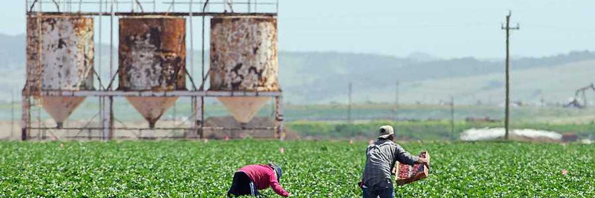 A view of farm workers bending over fields with mountains in the background