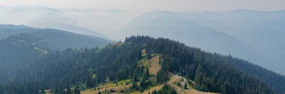 A view of forested mountains
