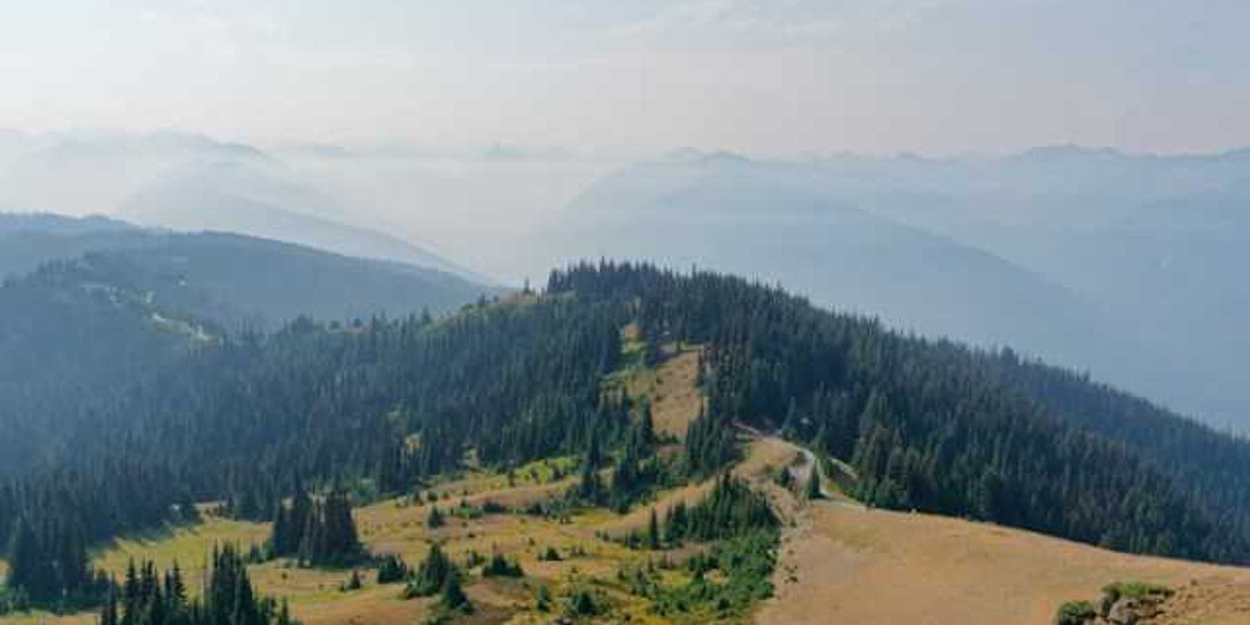 A view of forested mountains