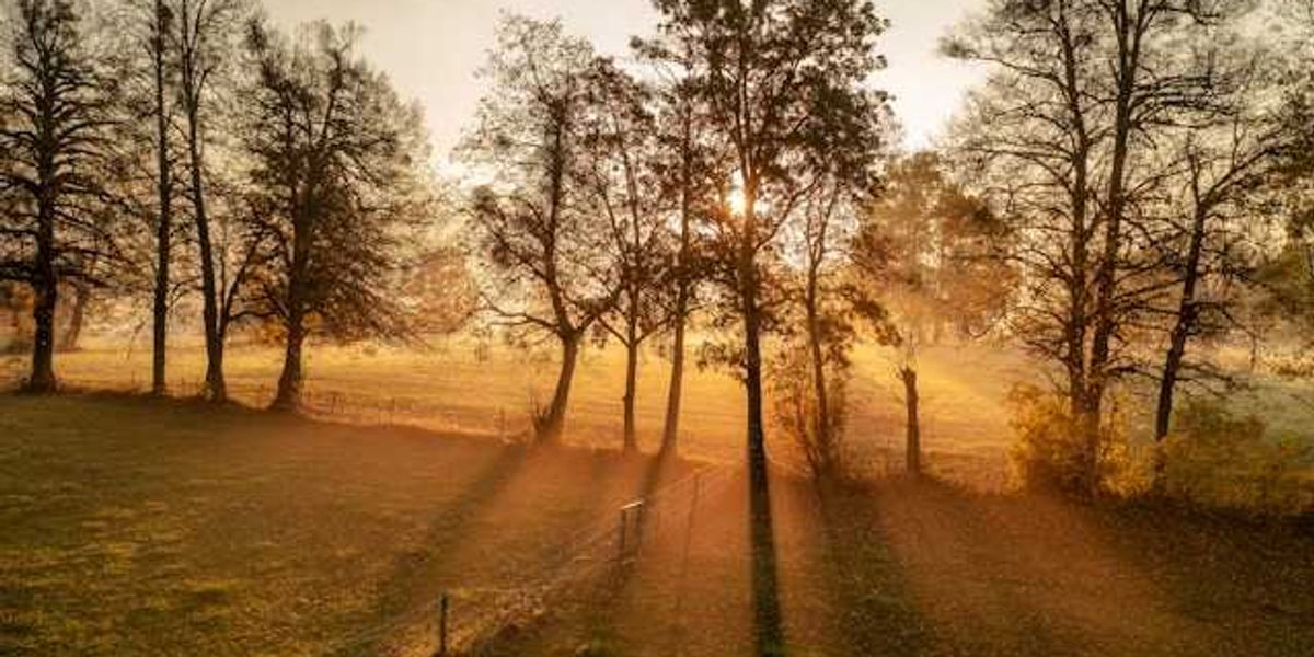 A view of paddocks with trees and the setting sun in the distance