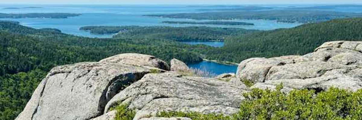 A view of the coast from a forested hill