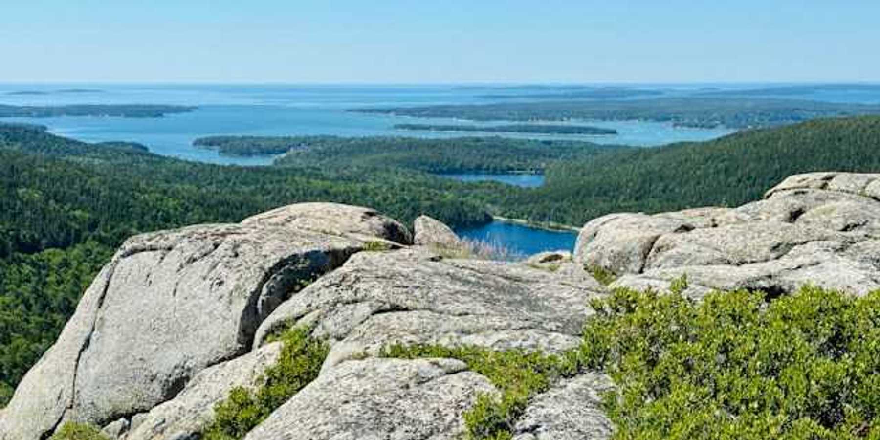A view of the coast from a forested hill