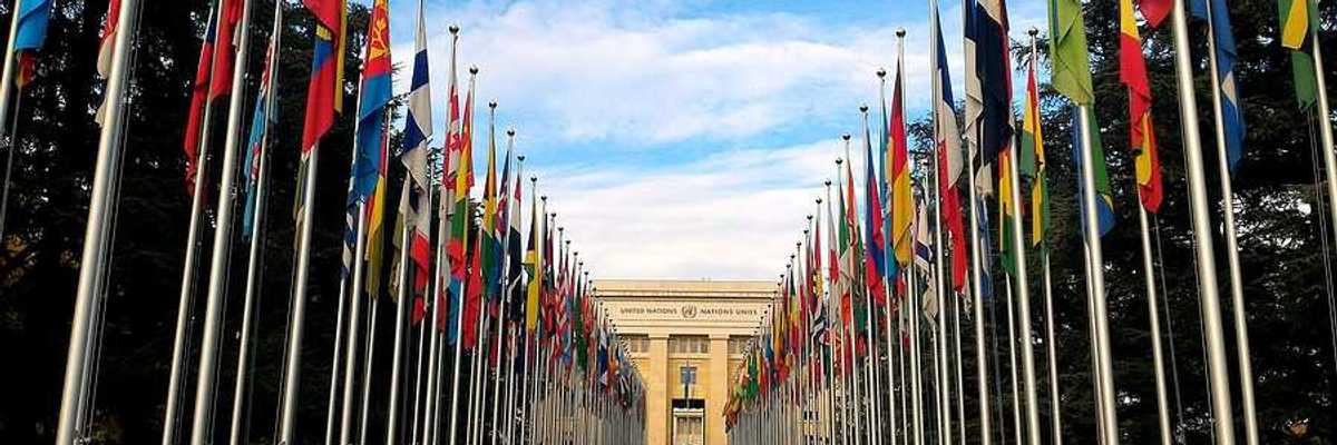 A view of the entrance to the United Nations building with rows of world flags lined along a green lawn