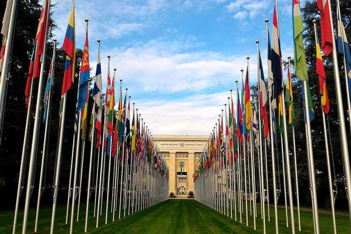 A view of the entrance to the United Nations building with rows of world flags lined along a green lawn
