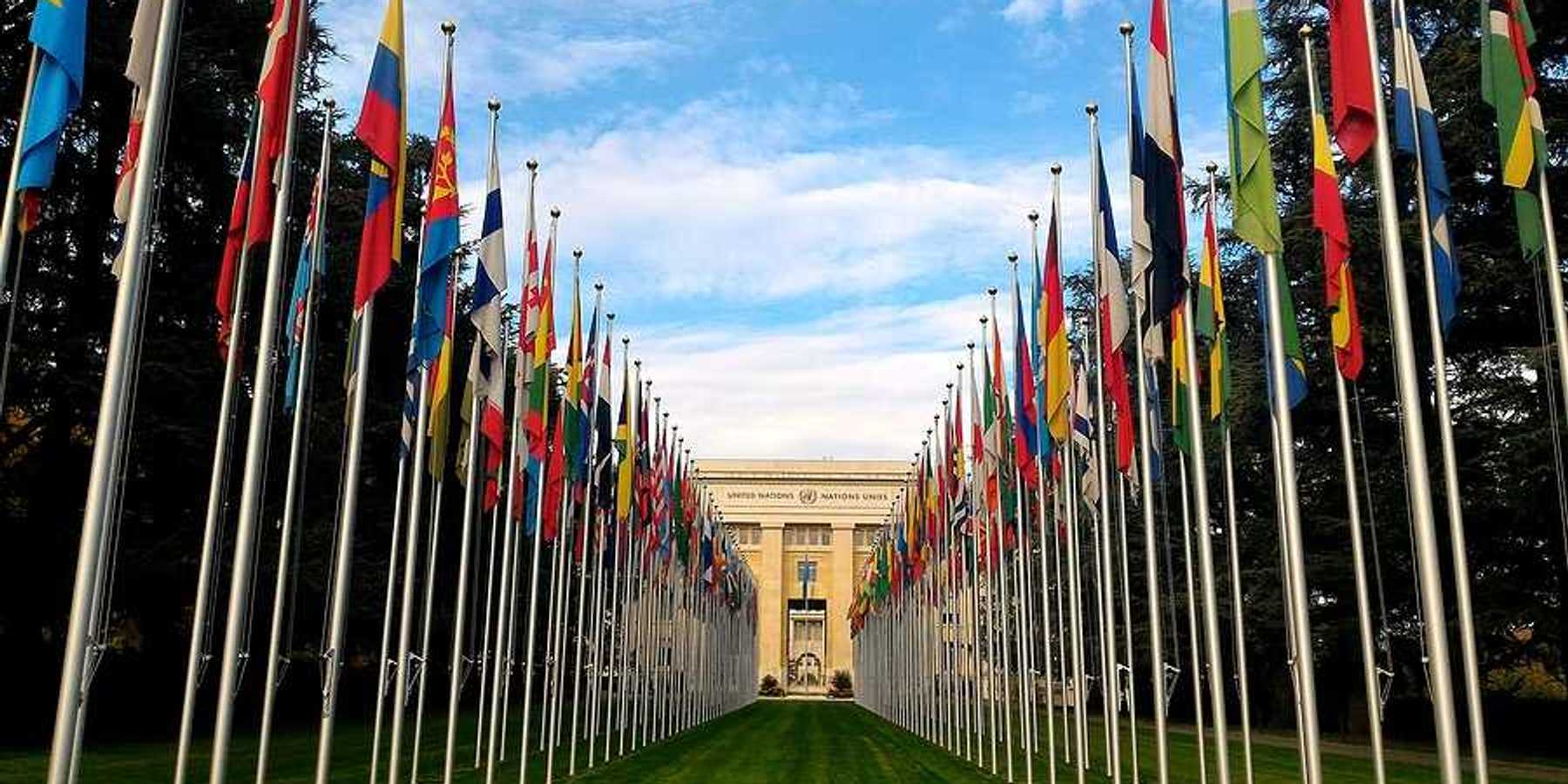 A view of the entrance to the United Nations building with rows of world flags lined along a green lawn