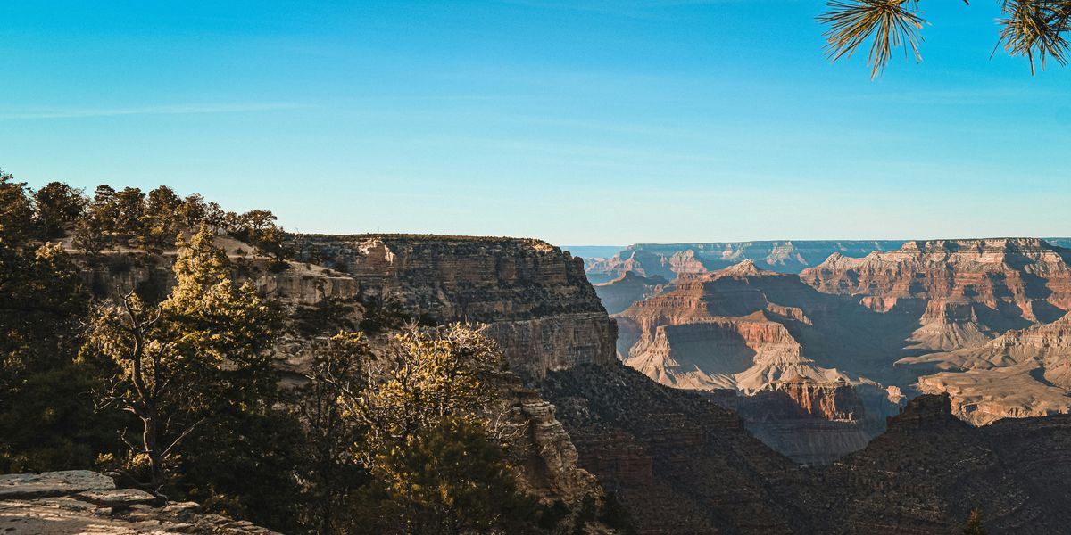 A view of the Grand Canyon from the rim on a sunny day.