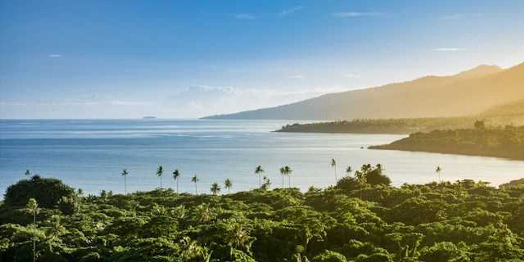 A view of the ocean with mountains in the distance and palm trees in the forefront