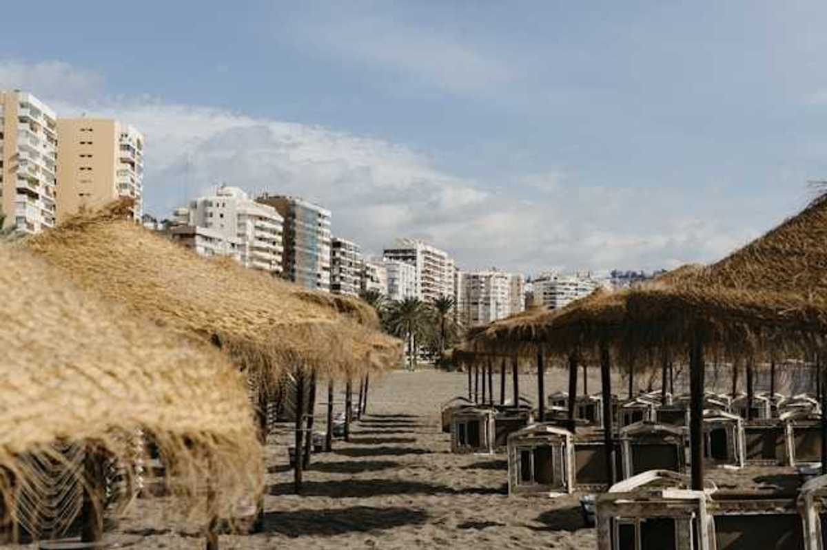 A view of umbrellas on a sandy beach with buildings in the background