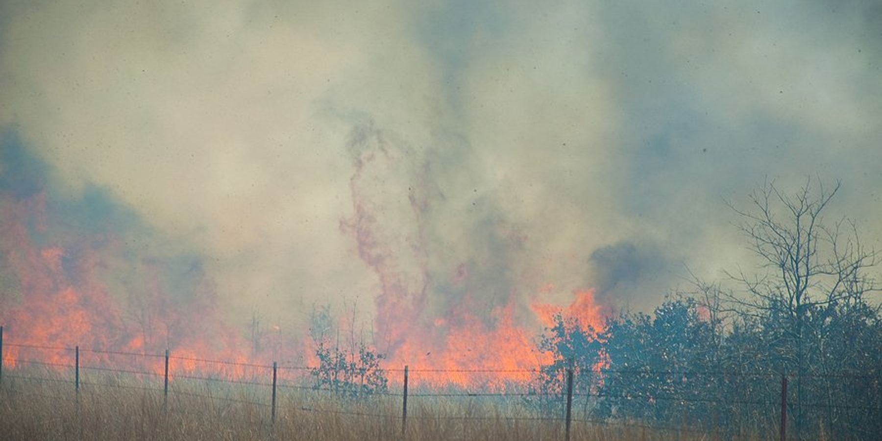A wildfire in a grassy field