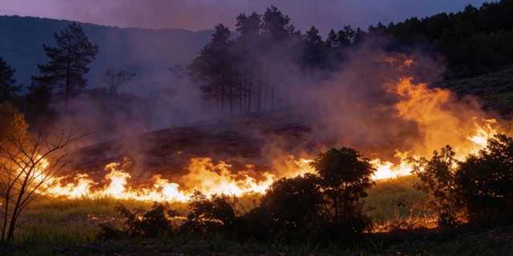 A wildfire moving across a darkened forest
