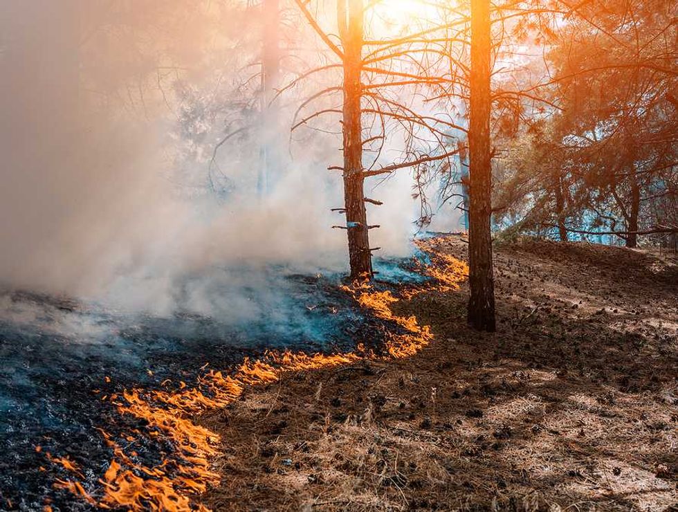 Drought raises the stakes of New Hampshire's relationship to fire