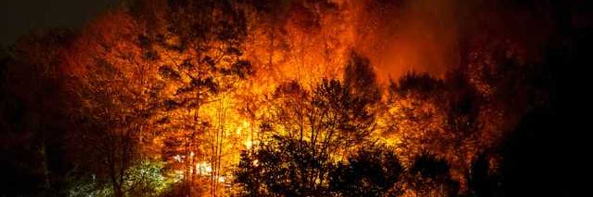 A wildfire on a hillside at night