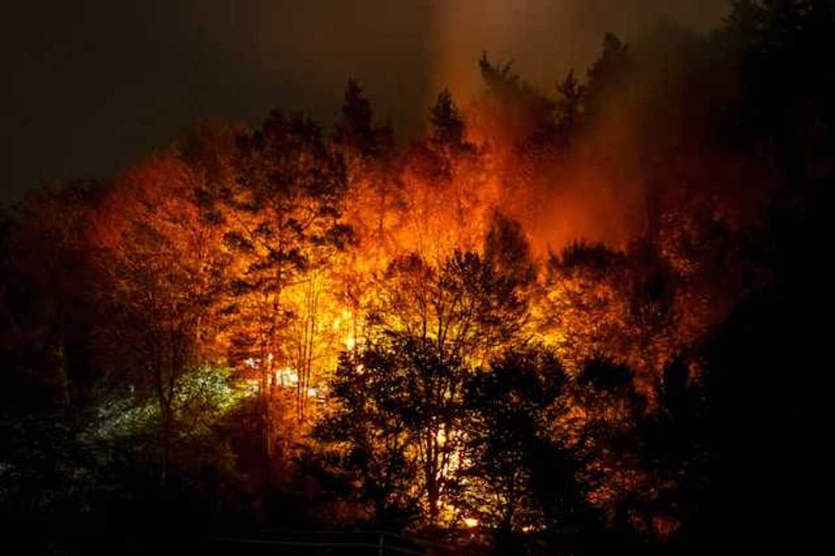 A wildfire on a hillside at night