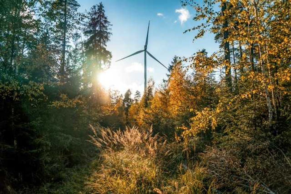 Blowin’ in the wind: how Nordic countries made electricity free