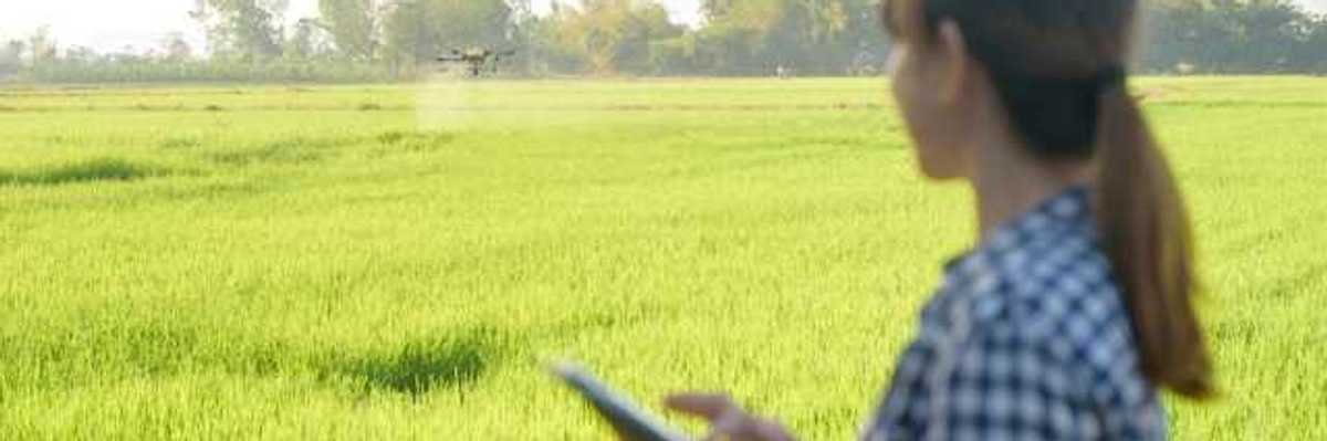A woman holding a tablet looking out over a green farm field with a drone in the distance