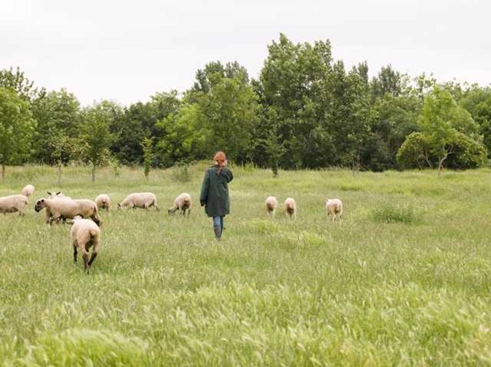 How regenerative farmers are shielding Spanish land from wildfires