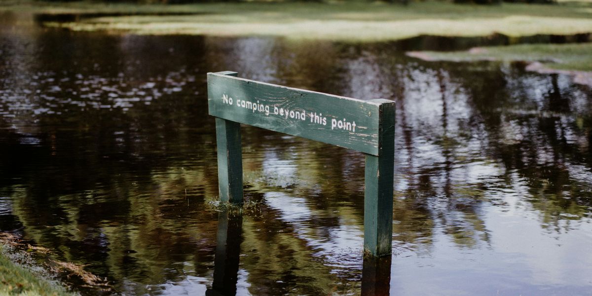 a wooden bench sitting in the middle of a pond