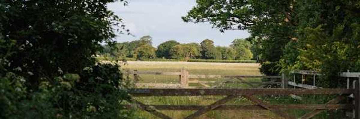 A wooden fence in a clearing between trees opening up to the English countryside