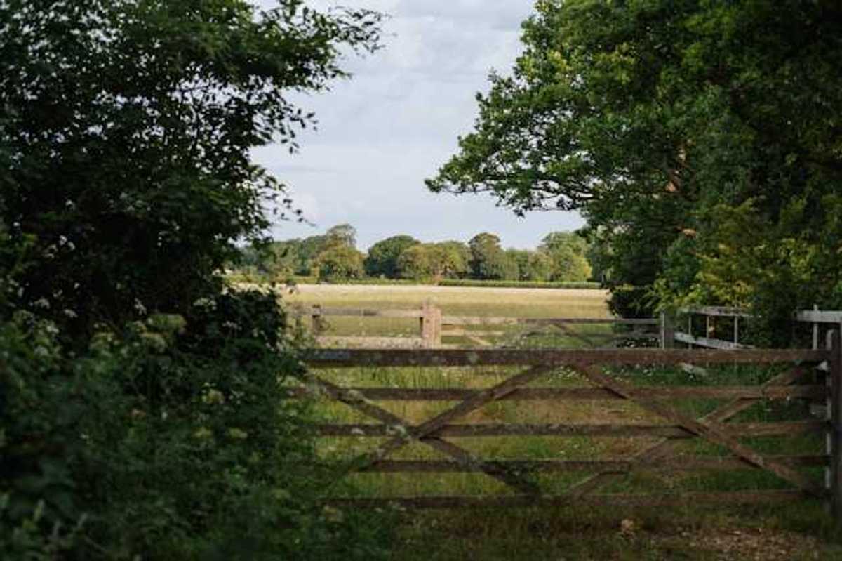 A wooden fence in a clearing between trees opening up to the English countryside