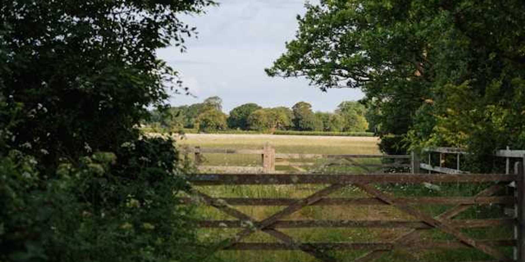 A wooden fence in a clearing between trees opening up to the English countryside