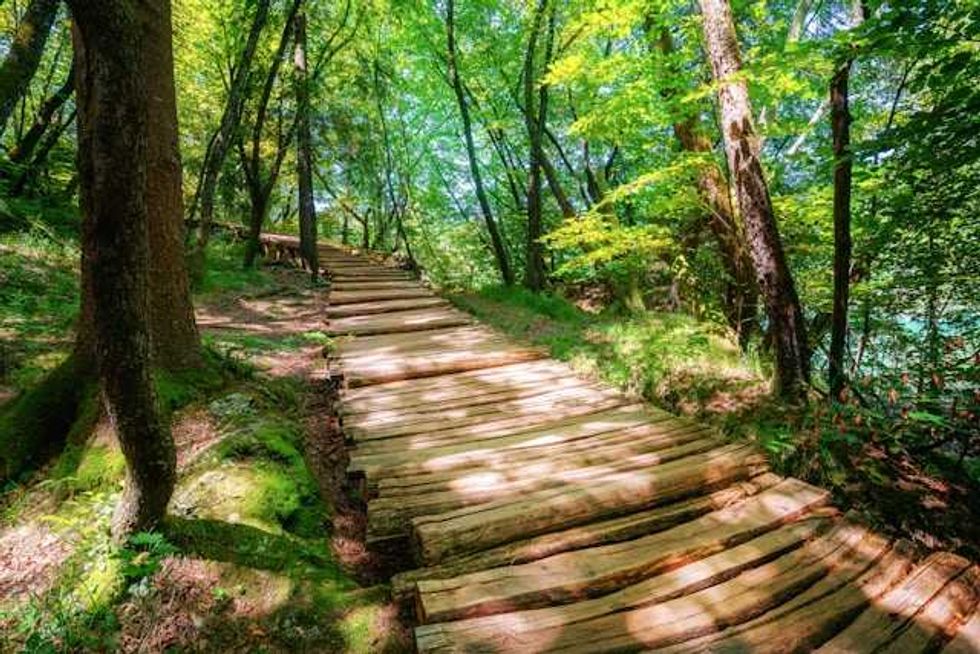 ‘What can I offer?’ New book helps readers navigate their climate journeys
