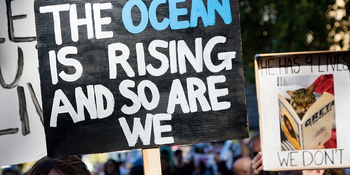 A young person holding a protest sign that says ' The ocean is rising and so are we'.