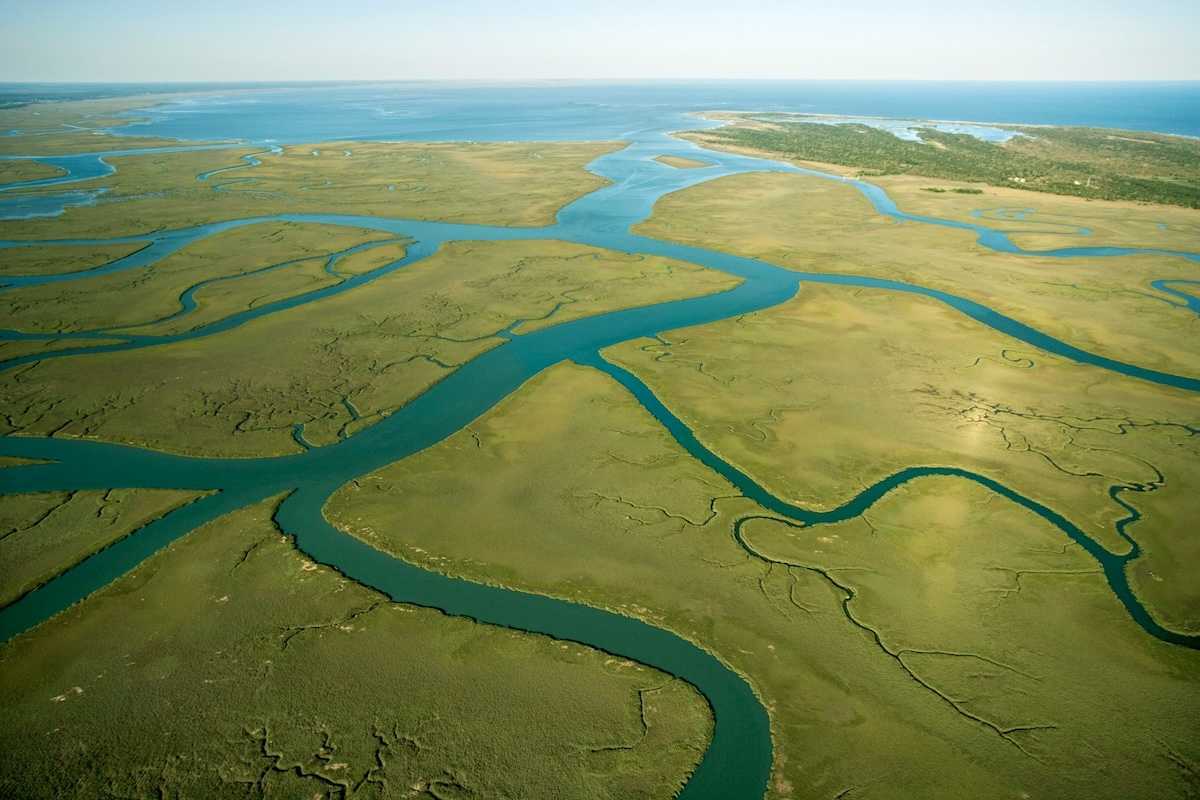 Aerial perspective of Everglades or similar frshwater/saltwater delta