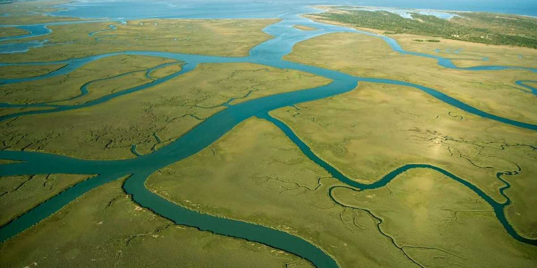 Aerial perspective of Everglades or similar frshwater/saltwater delta