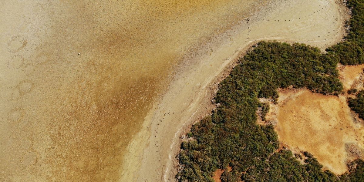 Aerial view of a dried water source with a small bit of land with bushes.