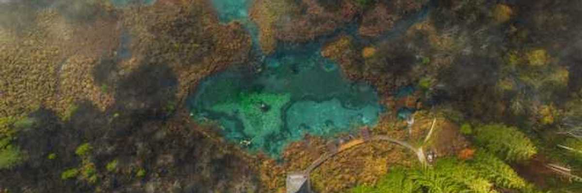 Aerial view of a lake surrounded by trees