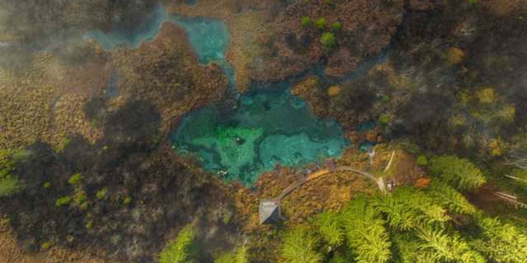 Aerial view of a lake surrounded by trees