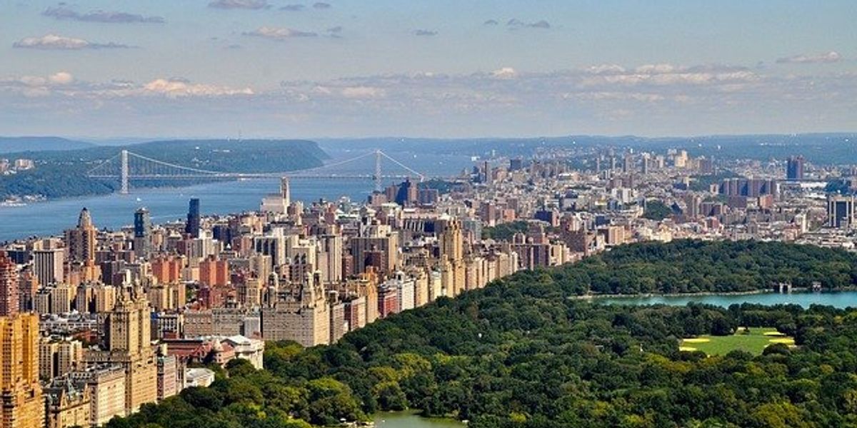 aerial view of central park