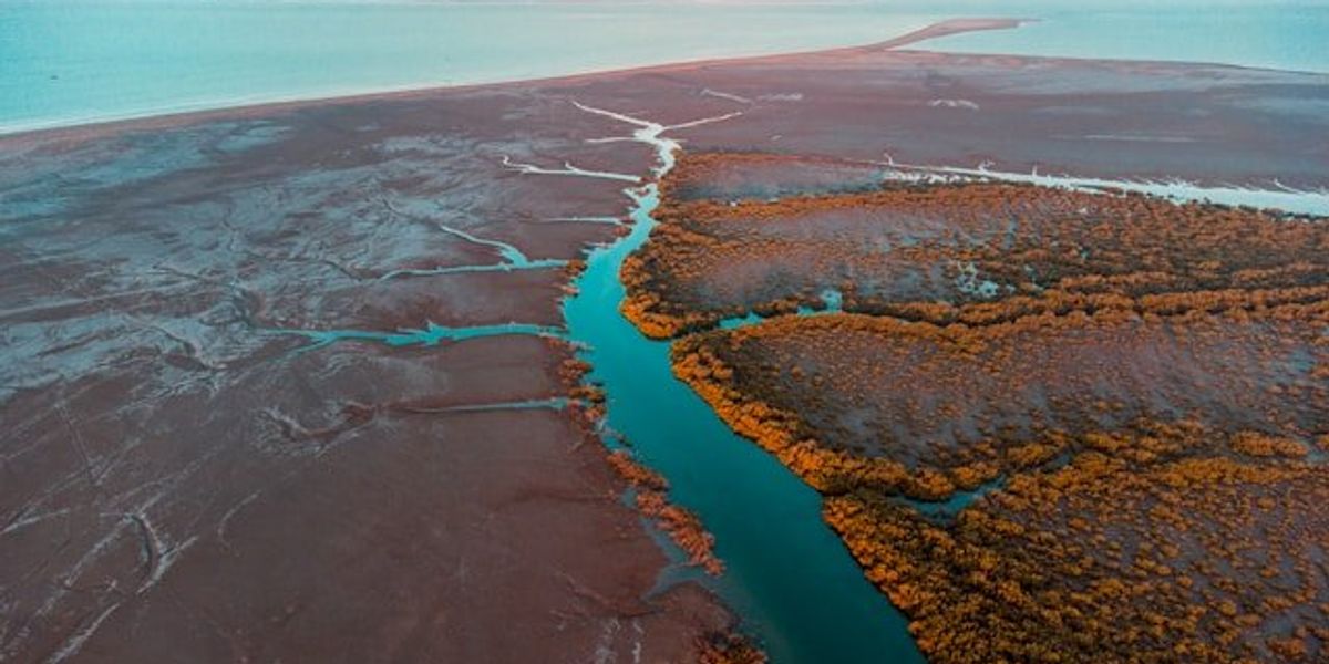 Aerial view of coastal wetlands and ocean.