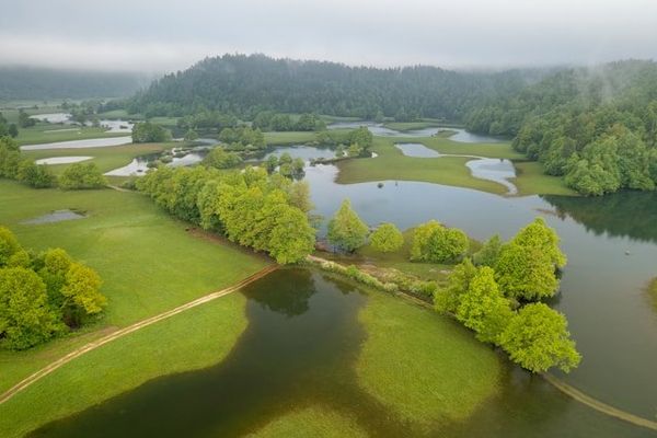 Aerial view of flooded green fields