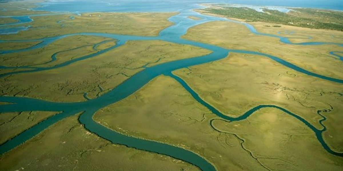 Aerial view of green marshland with a body of water in the distance.