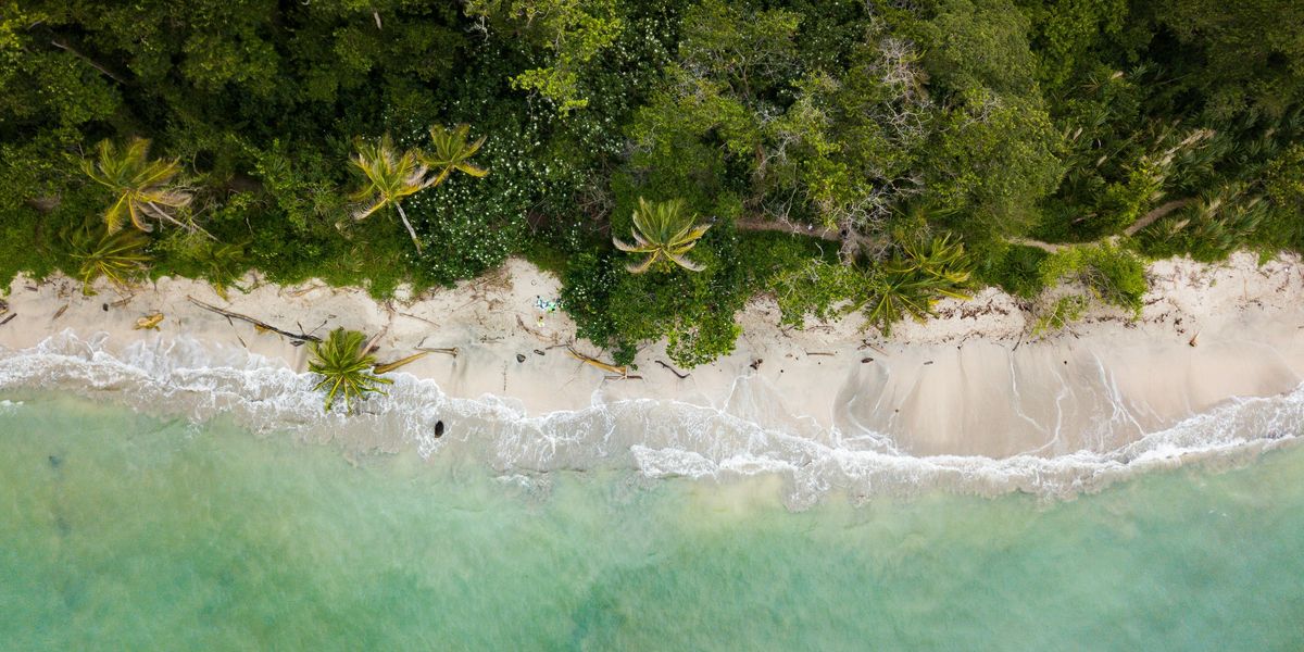aerial view of green ocean waters, beach, and tropical forest.