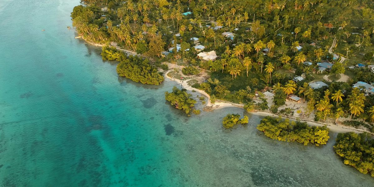 aerial view of green trees and body of aquamarine water during daytime.