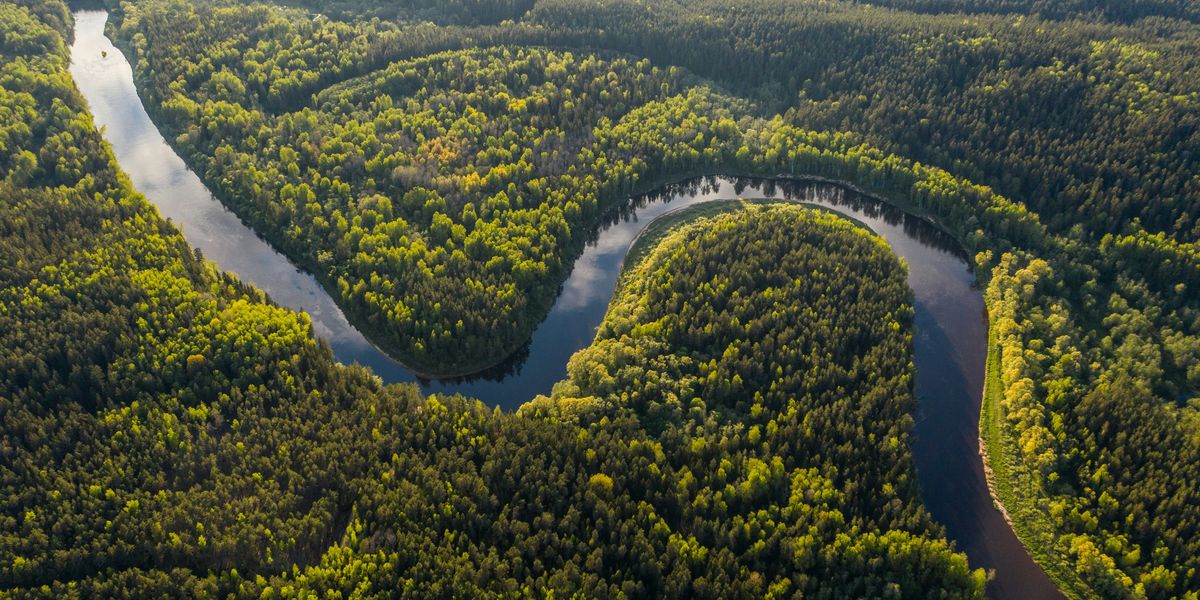 Aerial view of green trees and curving river during daytime.