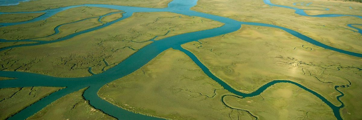 aerial view of Louisiana Delta