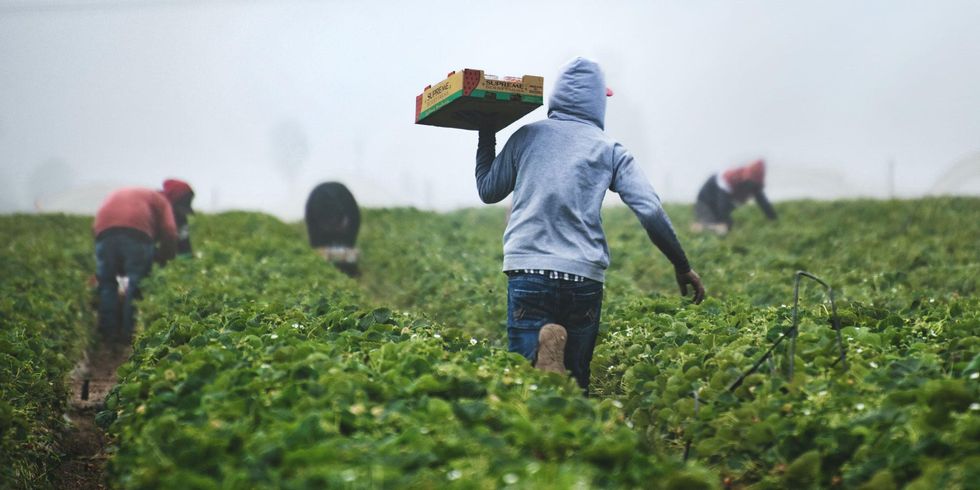 Agriculture and environmental health